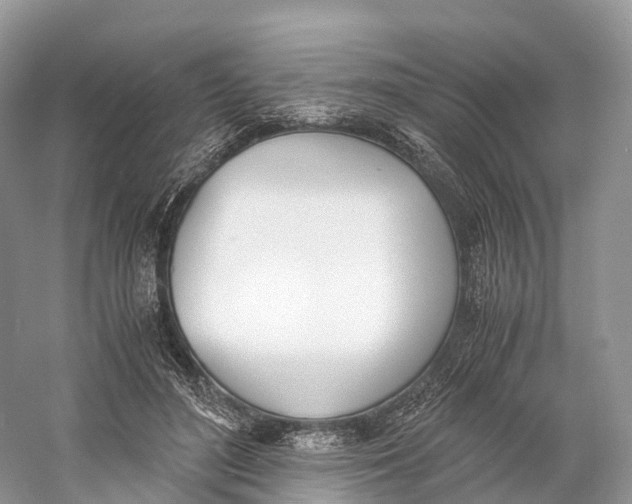 X0000060800500200512011736