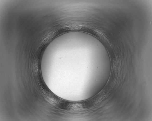 X0000060800501200512011736