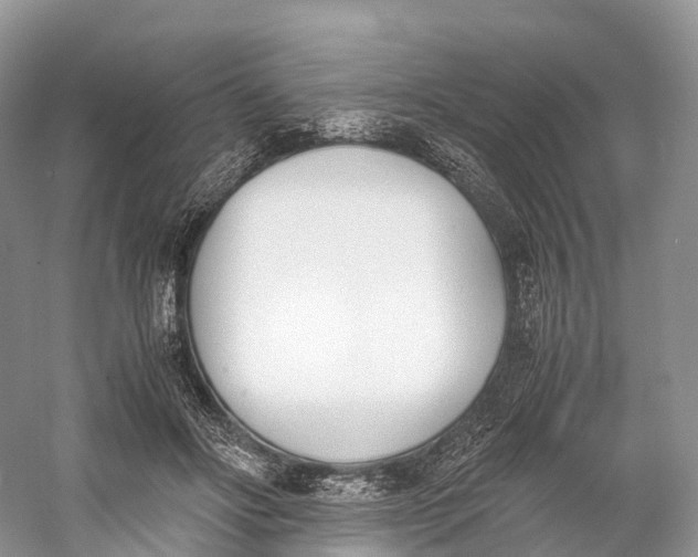 X0000060800502200512011736