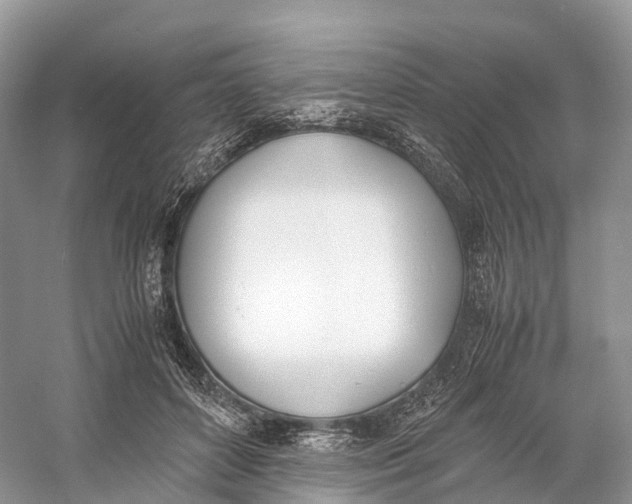 X0000060800504200512011736