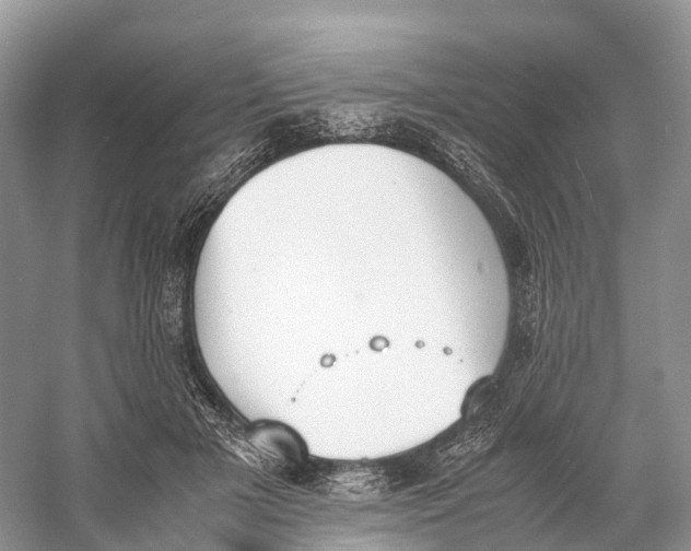 X0000060800505200512011736