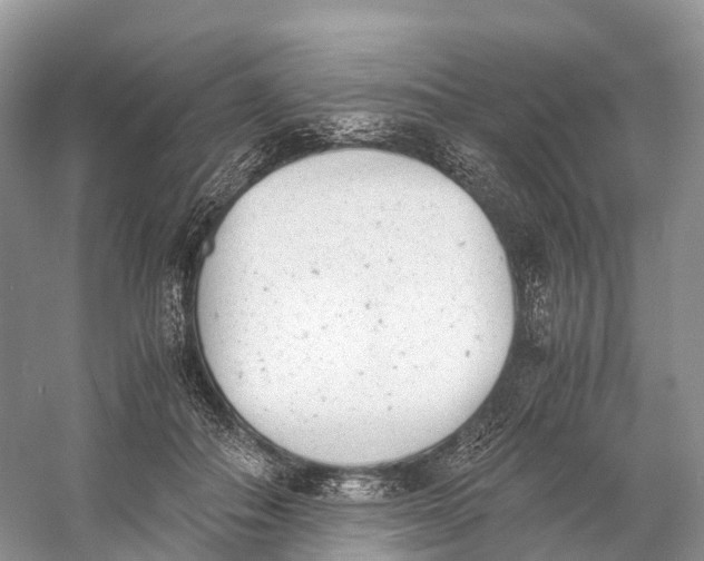 X0000060800506200512011736