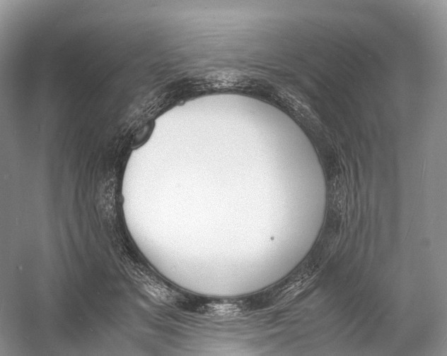 X0000060800509200512011736