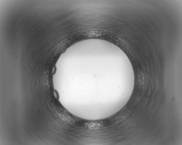 X0000060800512200512011736