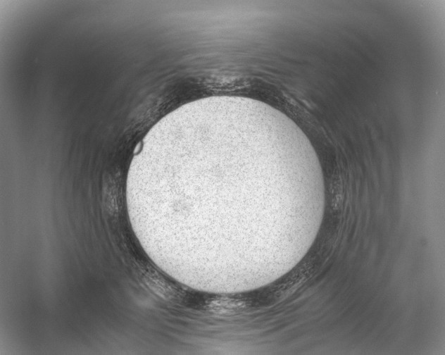 X0000060800515200512011736