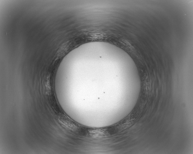 X0000060800516200512011736