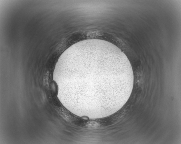 X0000060800519200512011736