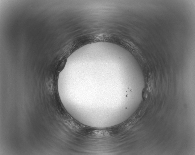 X0000060800520200512011736