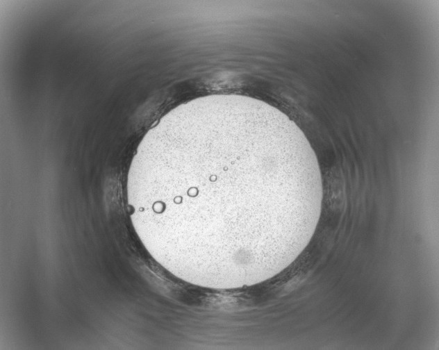 X0000060800523200512011736