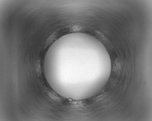 X0000060800524200512011736