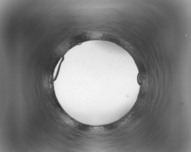 X0000060800525200512011736