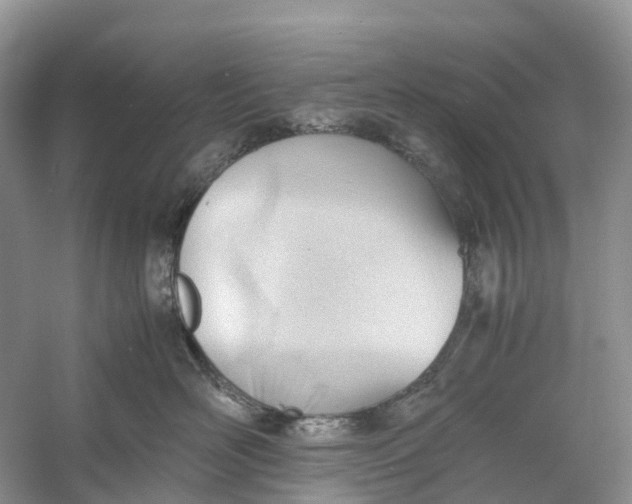 X0000060800526200512011736