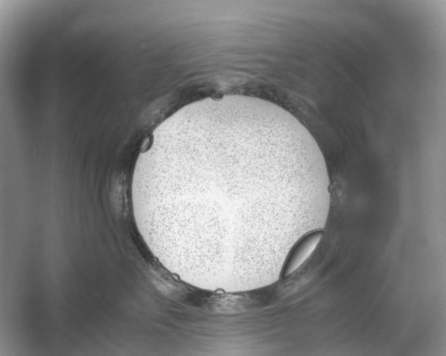 X0000060800527200512011736