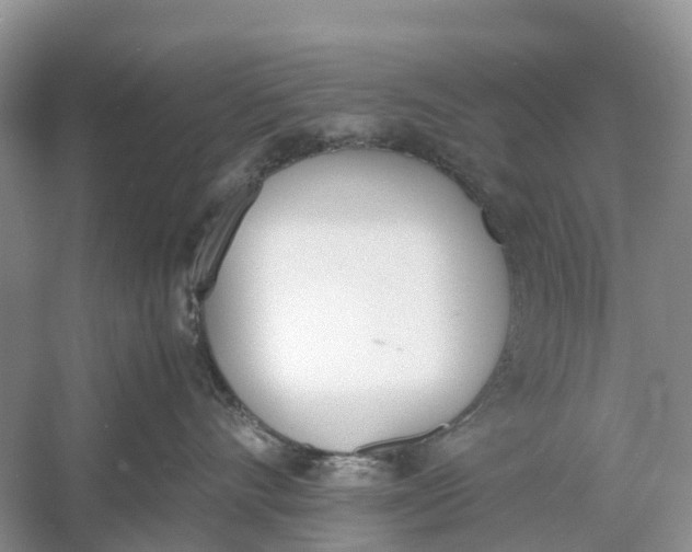 X0000060800528200512011736