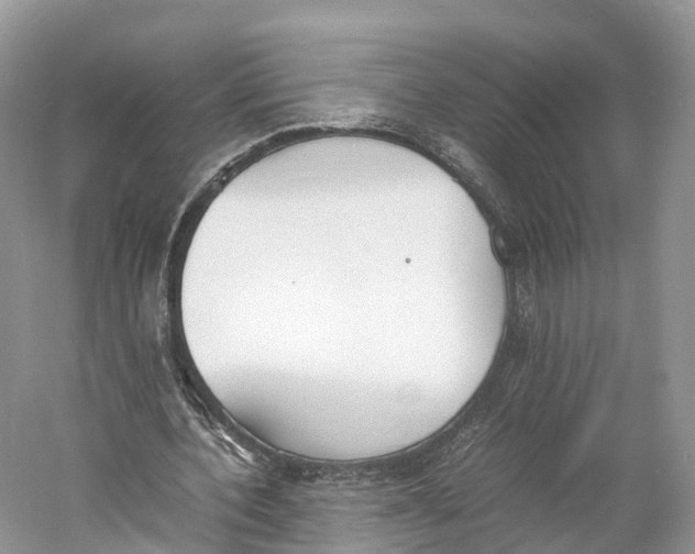 X0000060800532200512011735