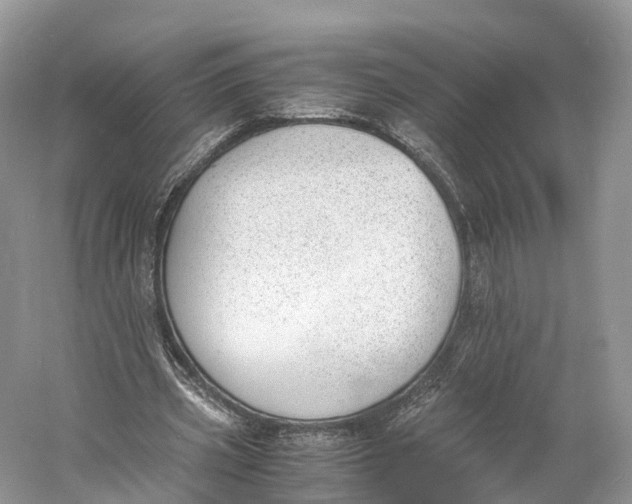 X0000060800533200512011735