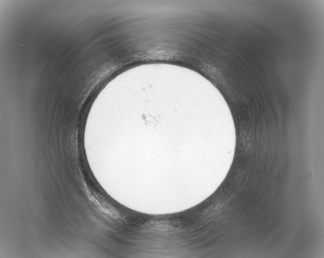 X0000060800534200512011735