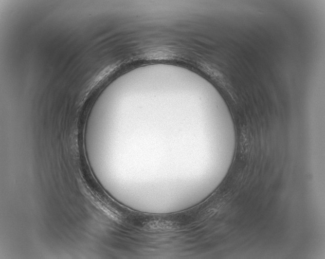 X0000060800535200512011735