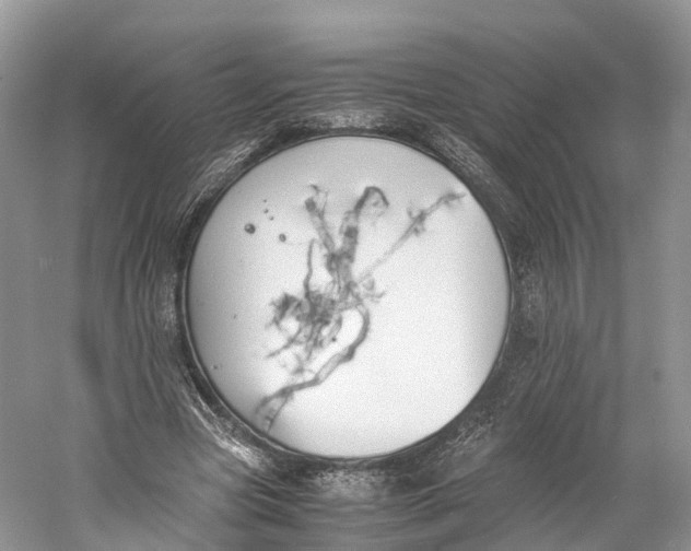 X0000060800537200512011735