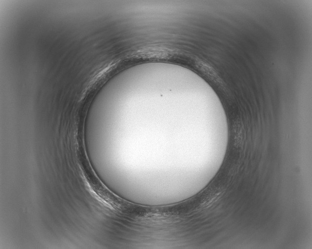 X0000060800538200512011735