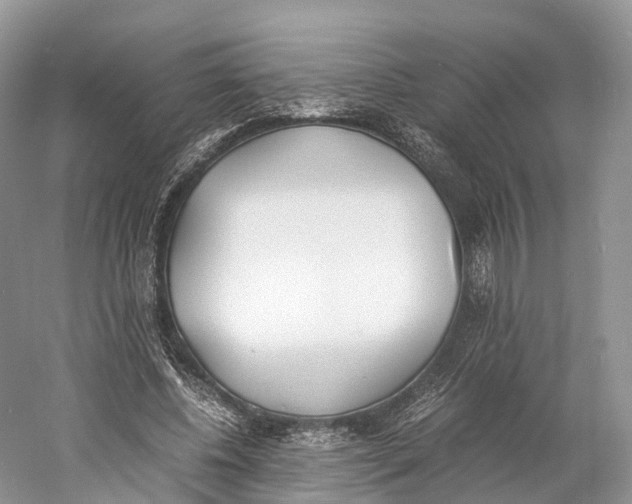 X0000060800540200512011735