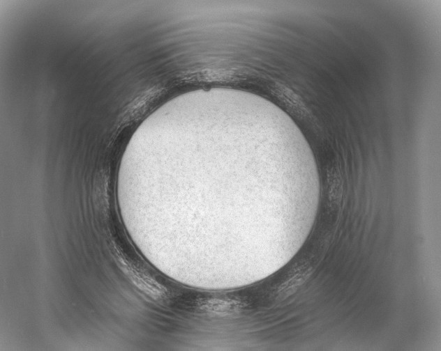 X0000060800542200512011735