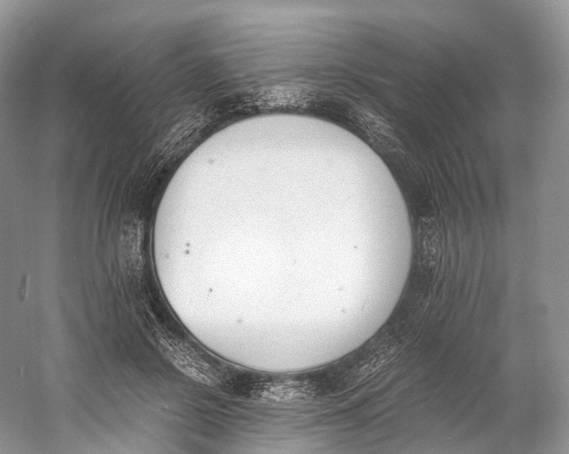 X0000060800550200512011736