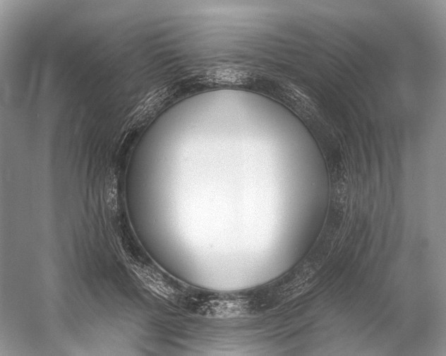 X0000060800552200512011736