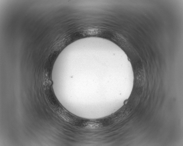 X0000060800555200512011736