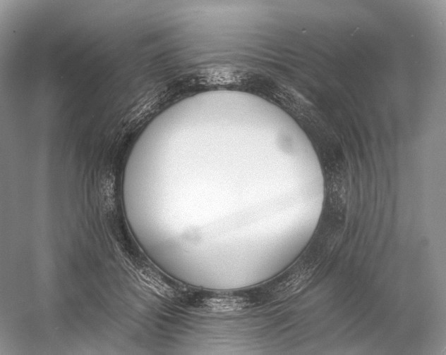 X0000060800556200512011736