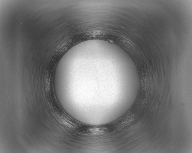 X0000060800558200512011736