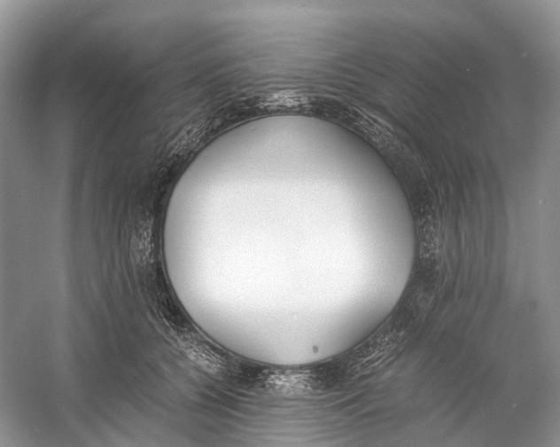 X0000060800560200512011736