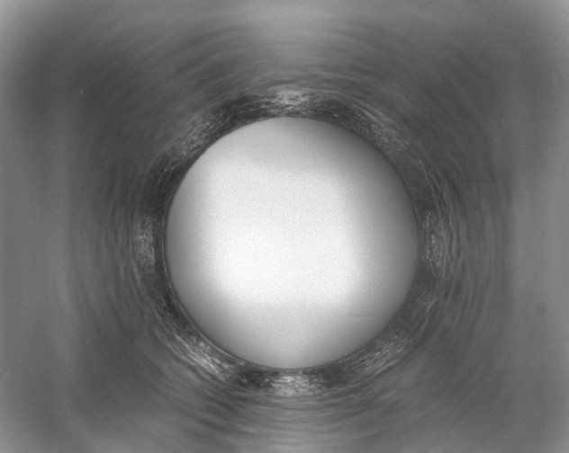 X0000060800562200512011736