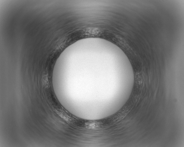 X0000060800564200512011736