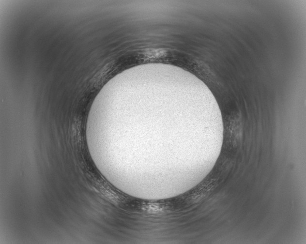 X0000060800565200512011736