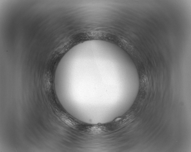 X0000060800566200512011736