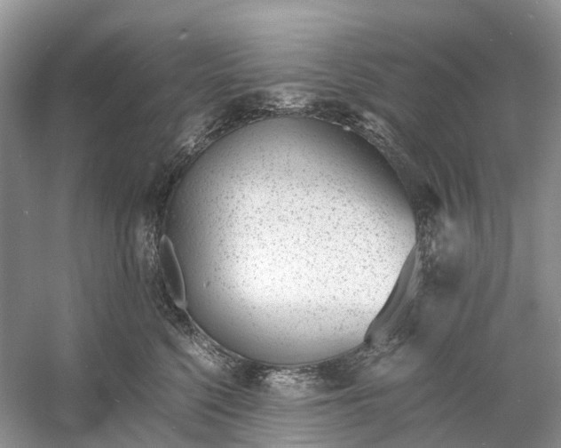 X0000060800568200512011736