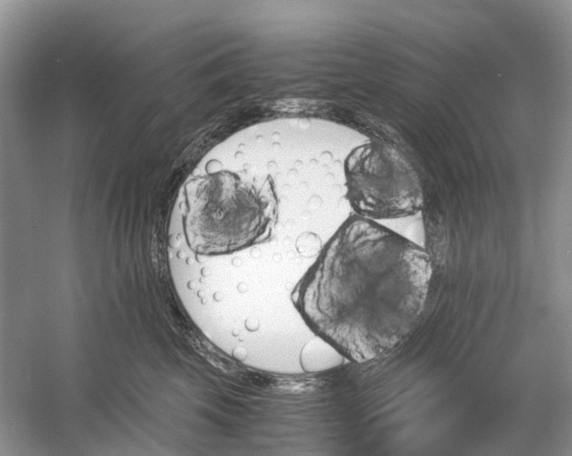 X0000060800569200512011736