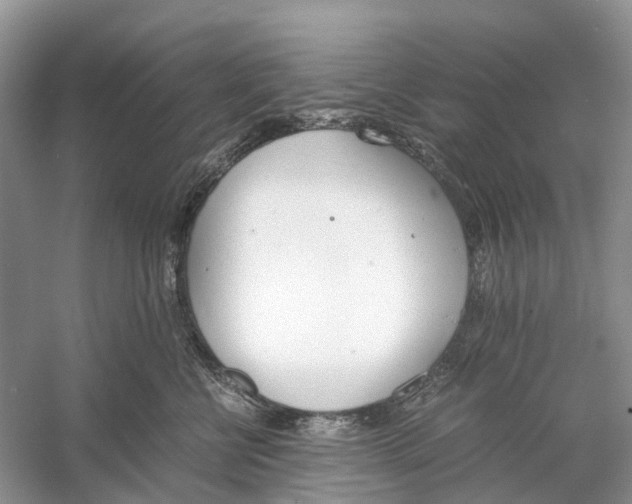 X0000060800570200512011736