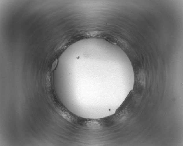 X0000060800572200512011736