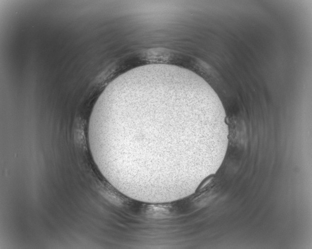 X0000060800573200512011736