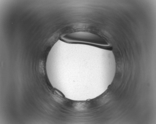 X0000060800575200512011736