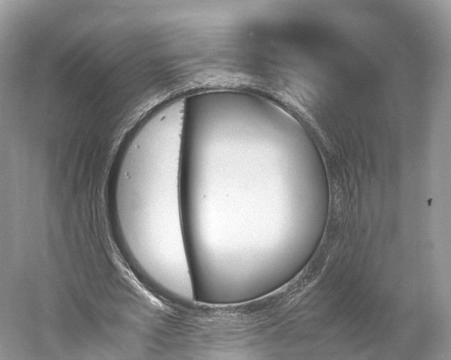 X0000060800581200512011735