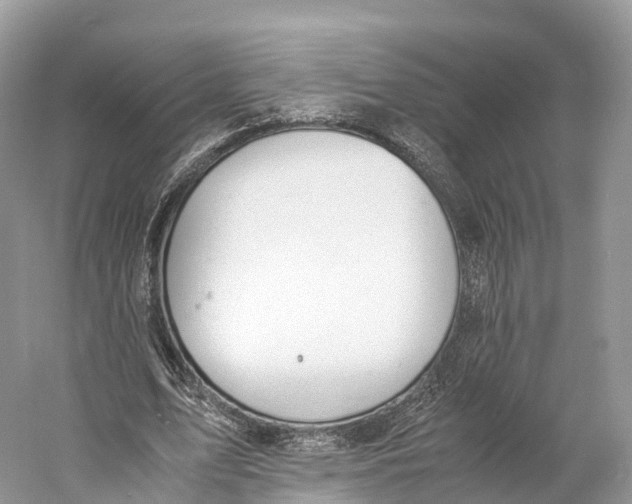 X0000060800583200512011735