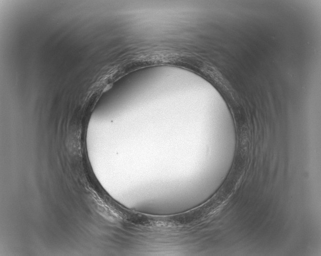 X0000060800585200512011735