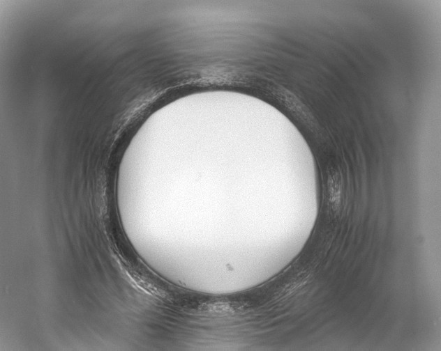 X0000060800588200512011735