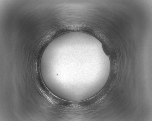 X0000060800589200512011735