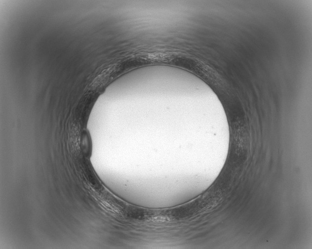 X0000060800593200512011735