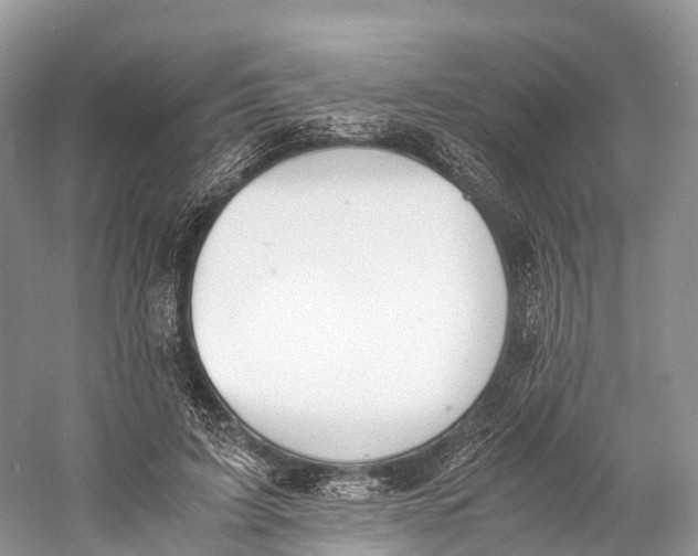 X0000060800595200512011735