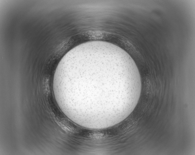 X0000060800598200512011735